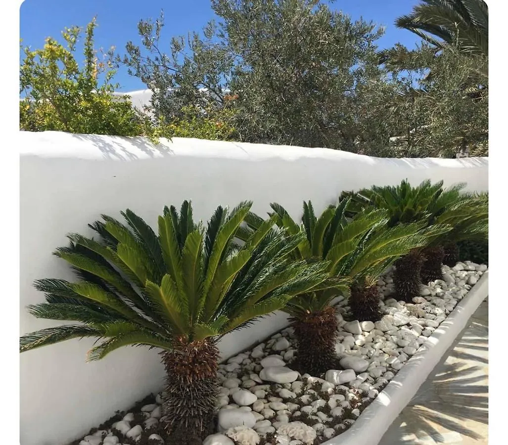 Mykonos Town White Luxury Suite With Shared Pool Downtown יוון