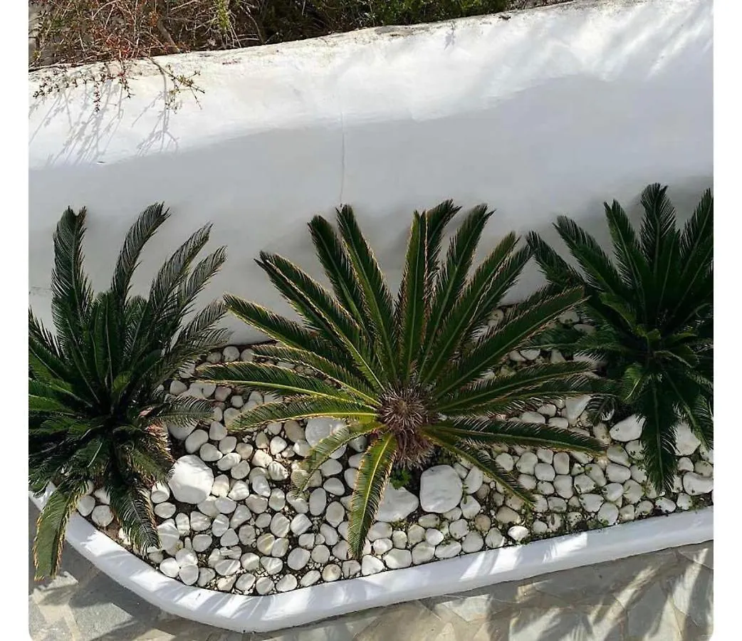Διαμέρισμα White Luxury Suite With Shared Pool Downtown Mykonos Town Ελλάδα